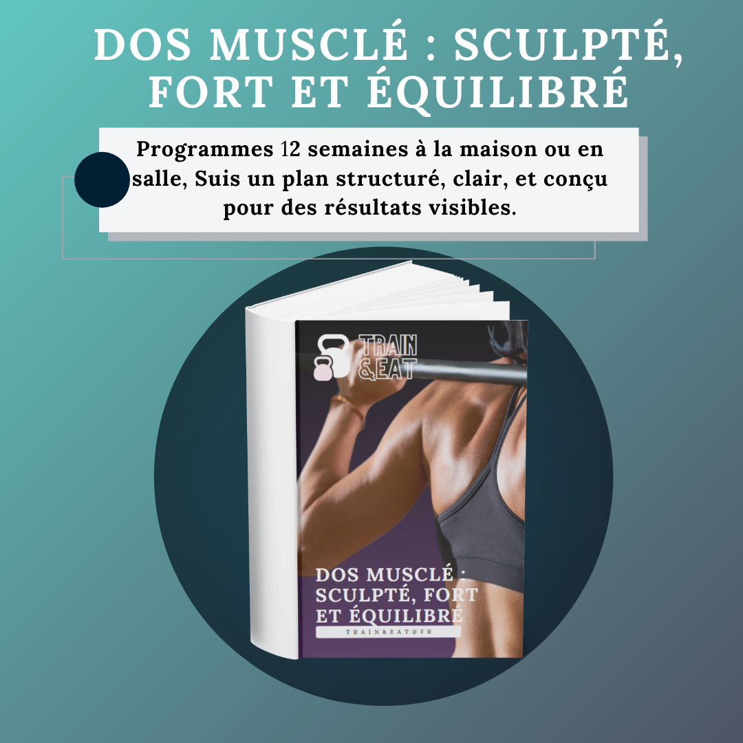 Dos Musclé : Sculpté, Fort et Équilibré
